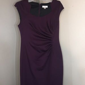 Calvin Klein sleeveless sheath berry dress size 10